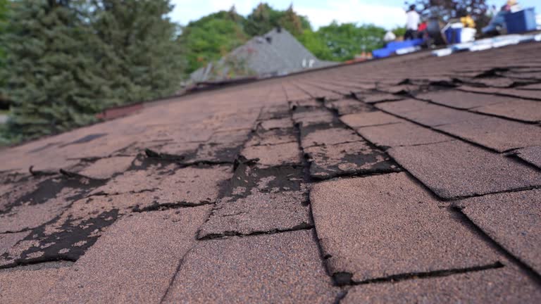 Asphalt Shingles Roofing in Byron Center, MI